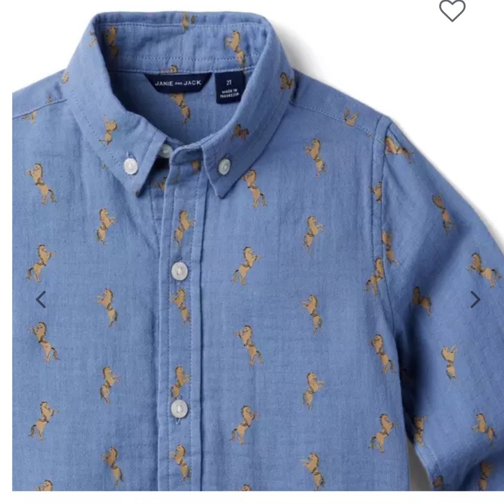 Janie and Jack horse button down shirt 6 to 12 months blue long sleeved EUC